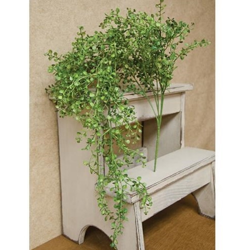 Hanging Baby&39s Grass Bush