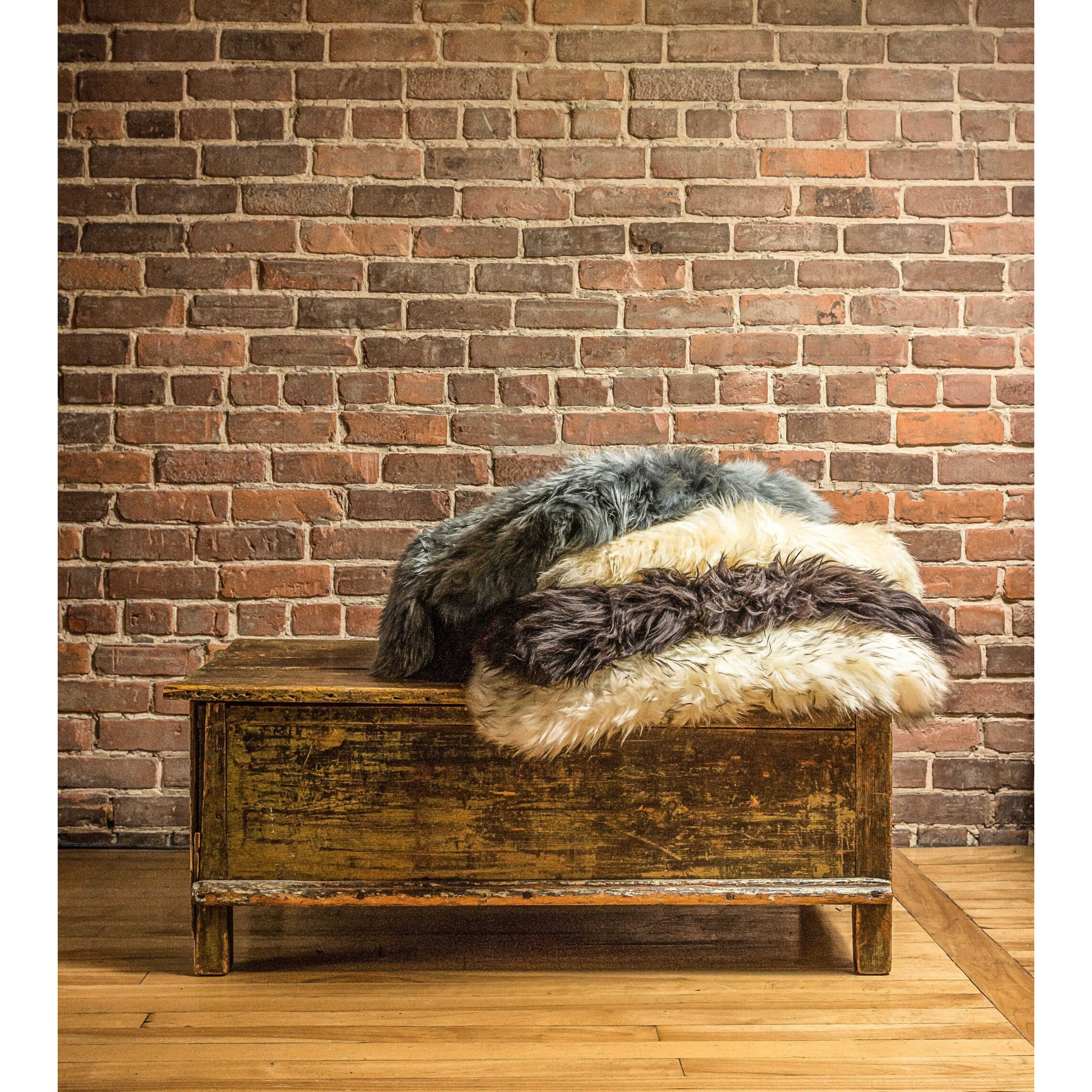 2' X 3' Black New Zealand Natural Sheepskin Rug