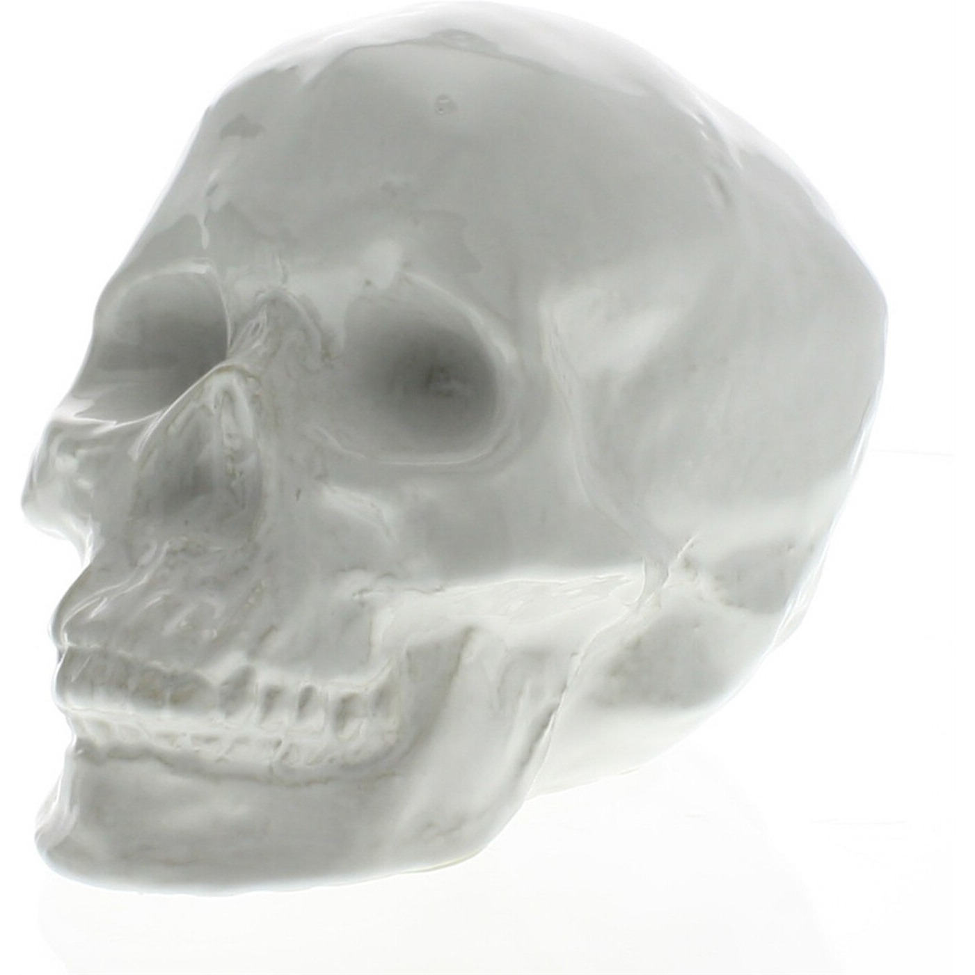 White Ceramic Skull Sculpture