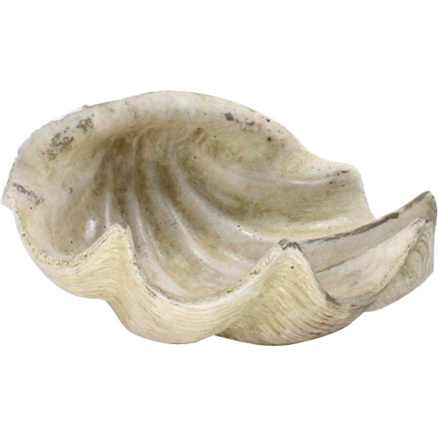 White Sea Shell Sculpture