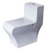 EAGO TB356 DUAL FLUSH ONE PIECE ECO-FRIENDLY HIGH EFFICIENCY LOW FLUSH CERAMIC TOILET