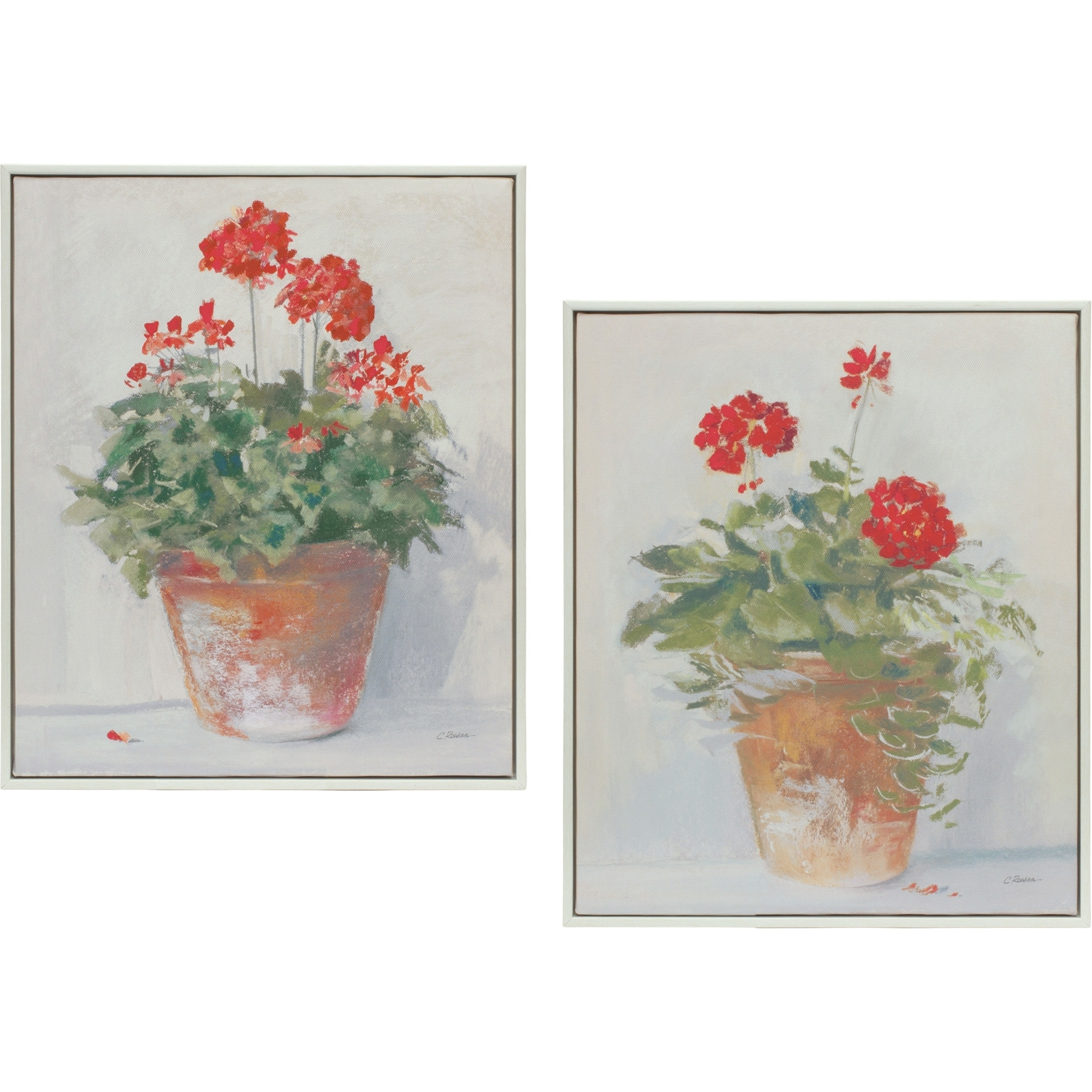 Framed Potted Geranium Print (Set of 2)