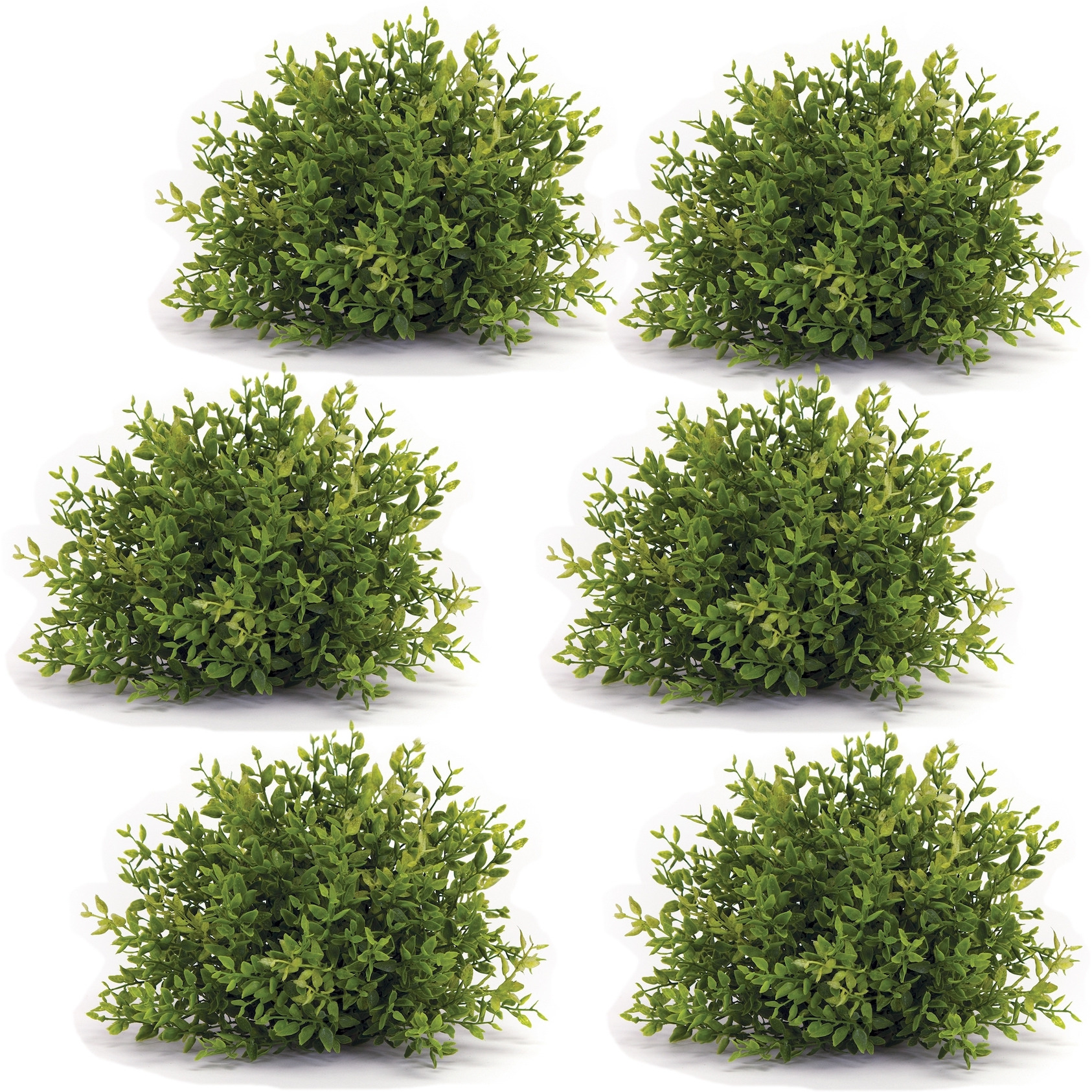 Mini Leaf Half Orb (Set of 6)