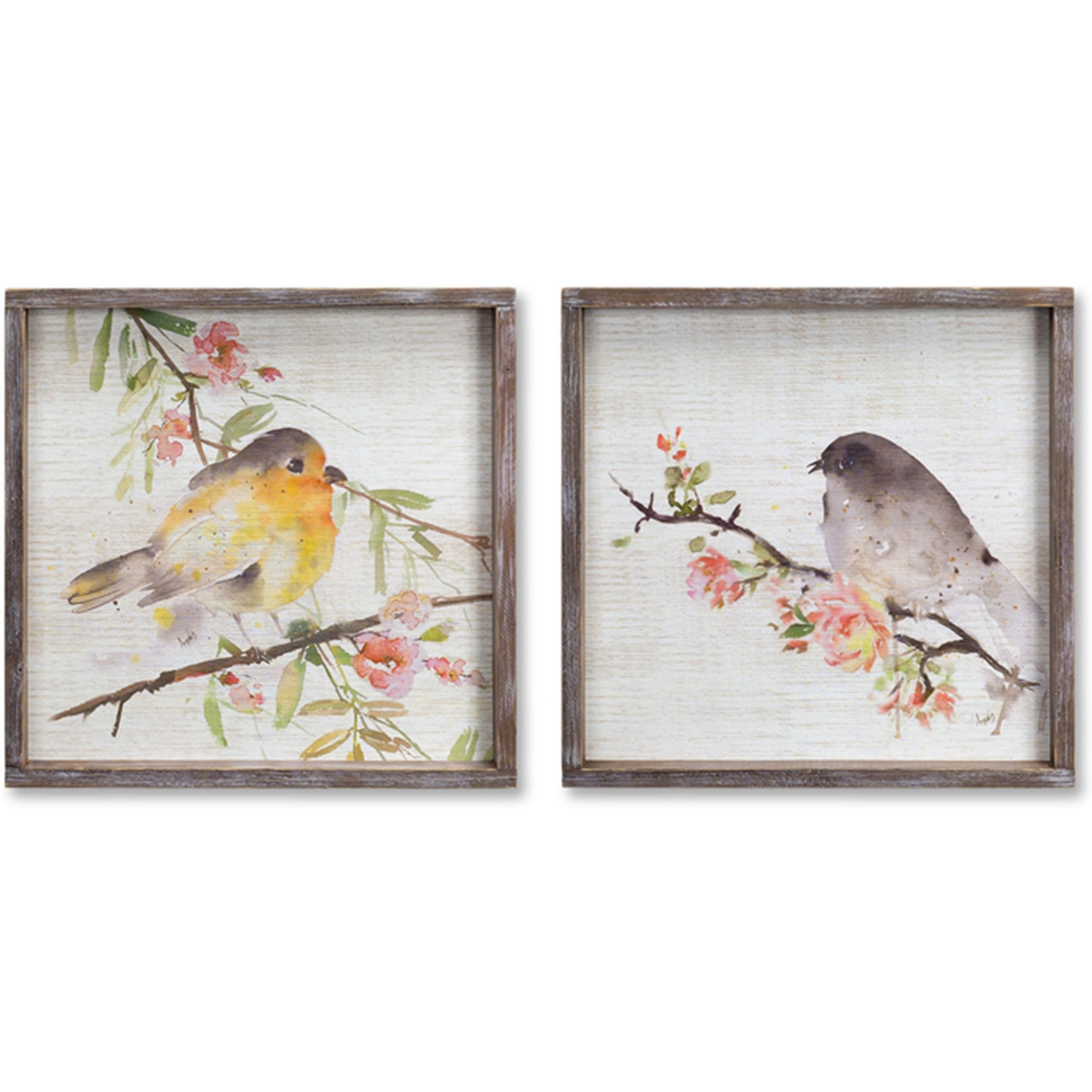 Framed Bird Print (Set of 2)