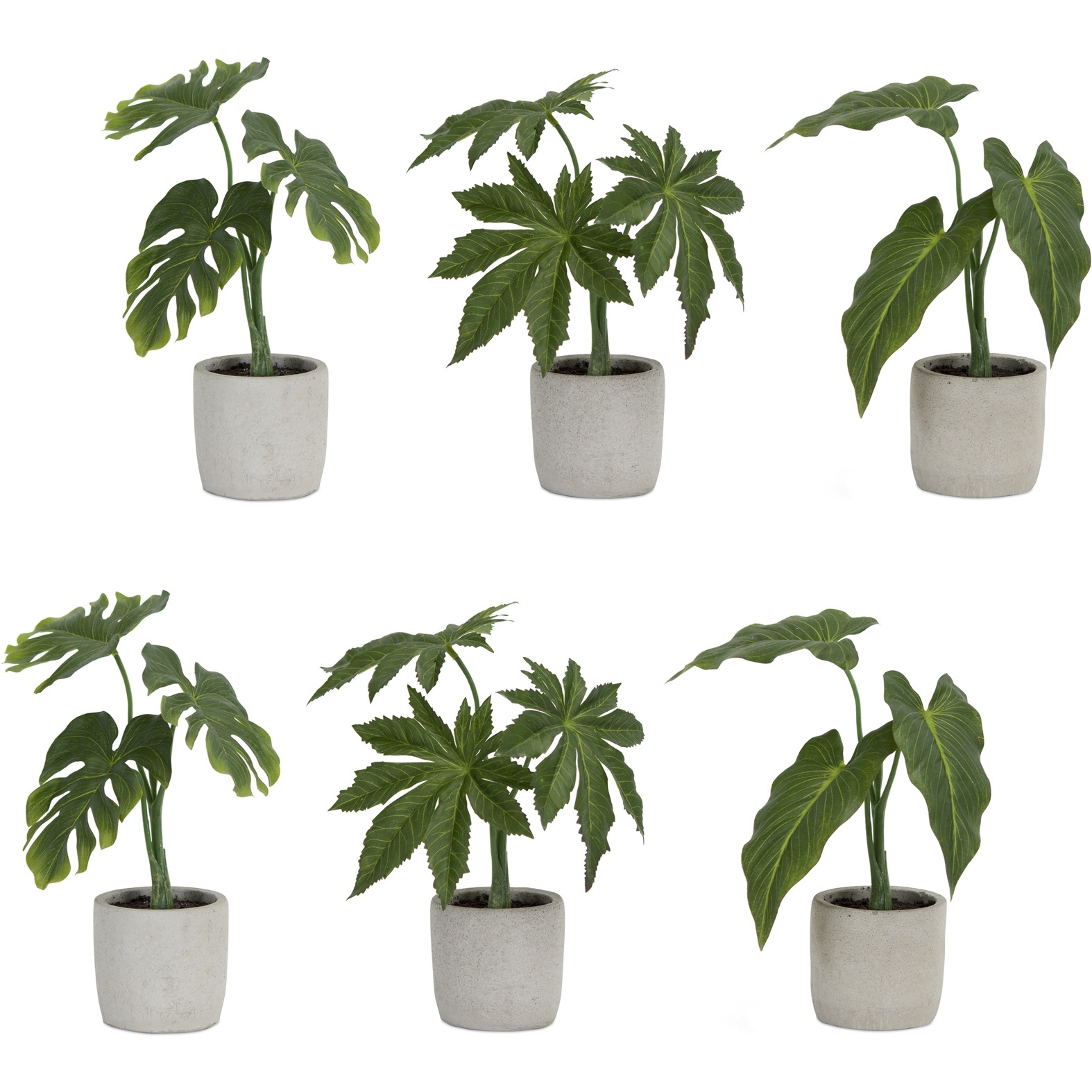 Potted Foliage (Set of 6)
