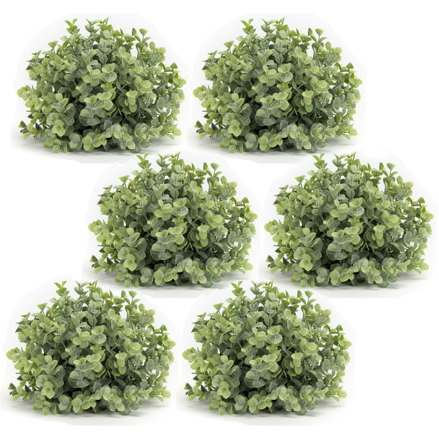 Boxwood Half Orb (Set of 6)