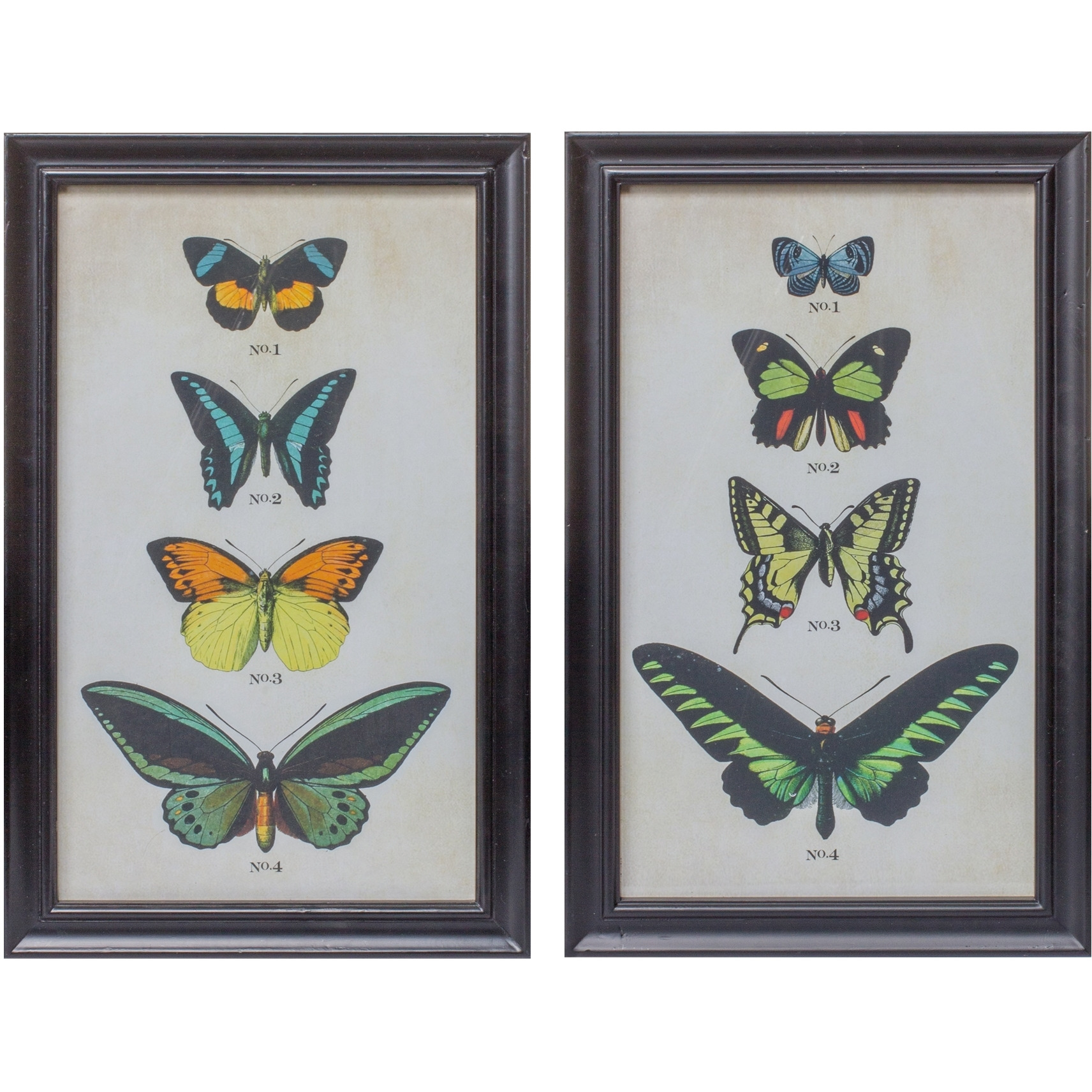 Framed Butterfly Print (Set of 2)