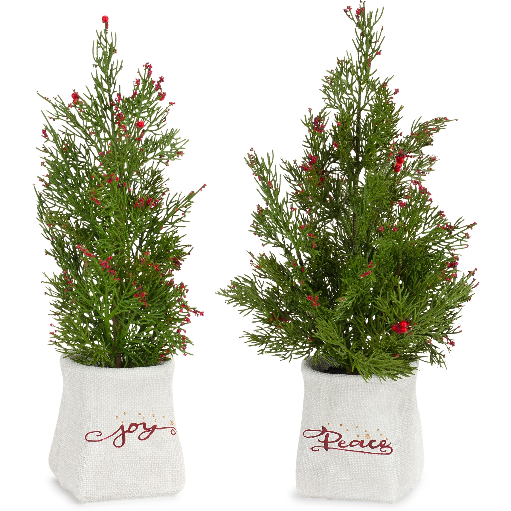 Potted Pine Tree (Set of 2)