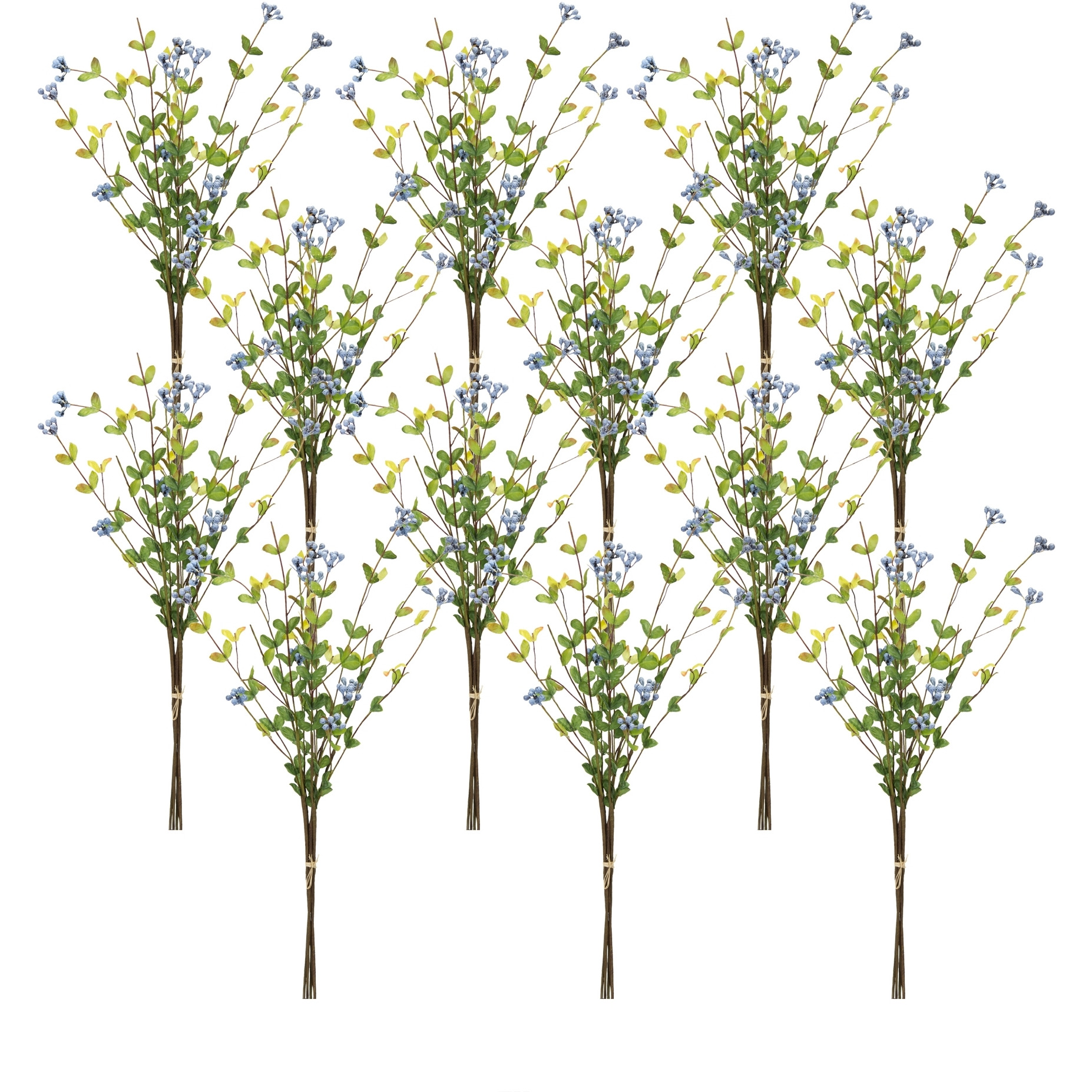 Berry Bundle (Set of 12)
