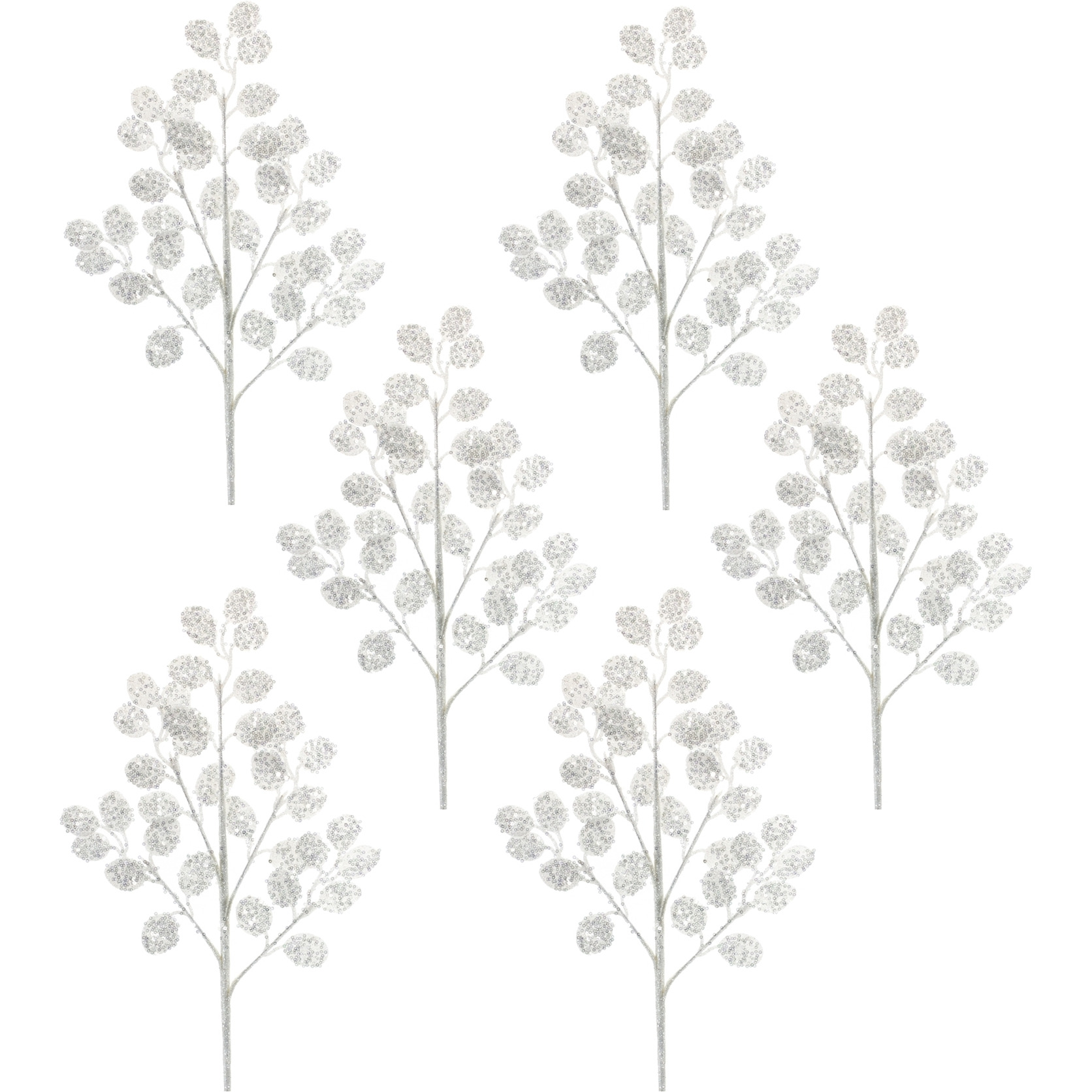 Silver Dollar Spray (Set of 6)