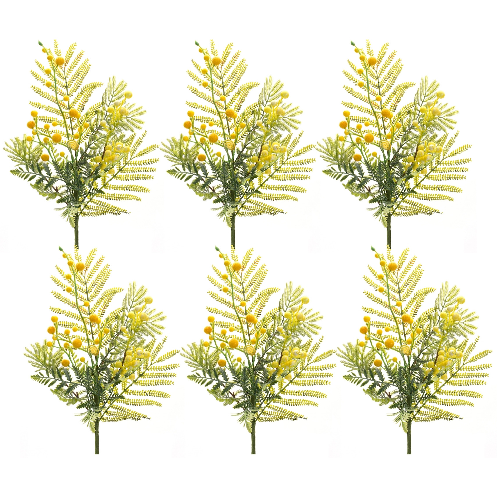 Mimosa Spray (Set of 6)