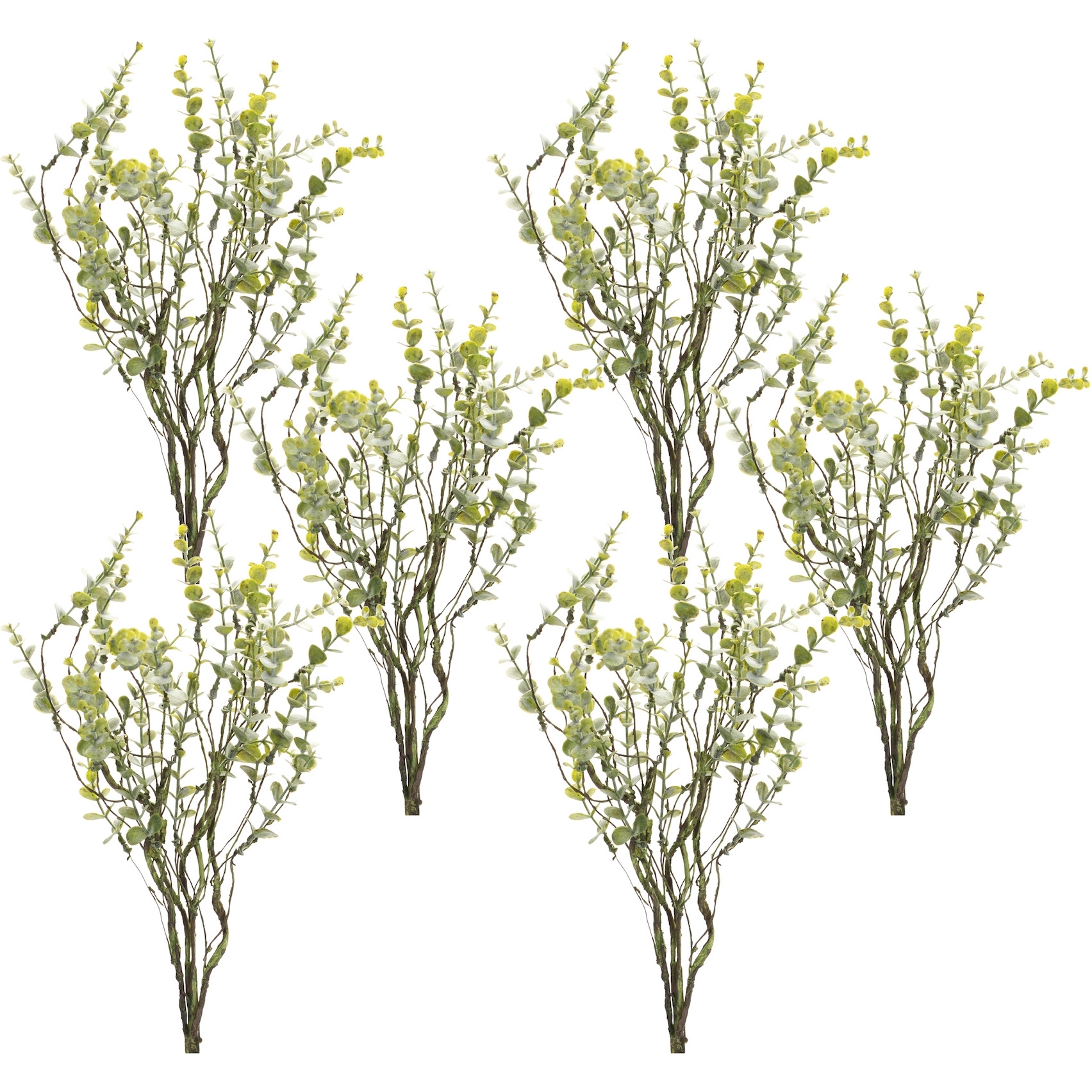 Boxwood Spray (Set of 6)