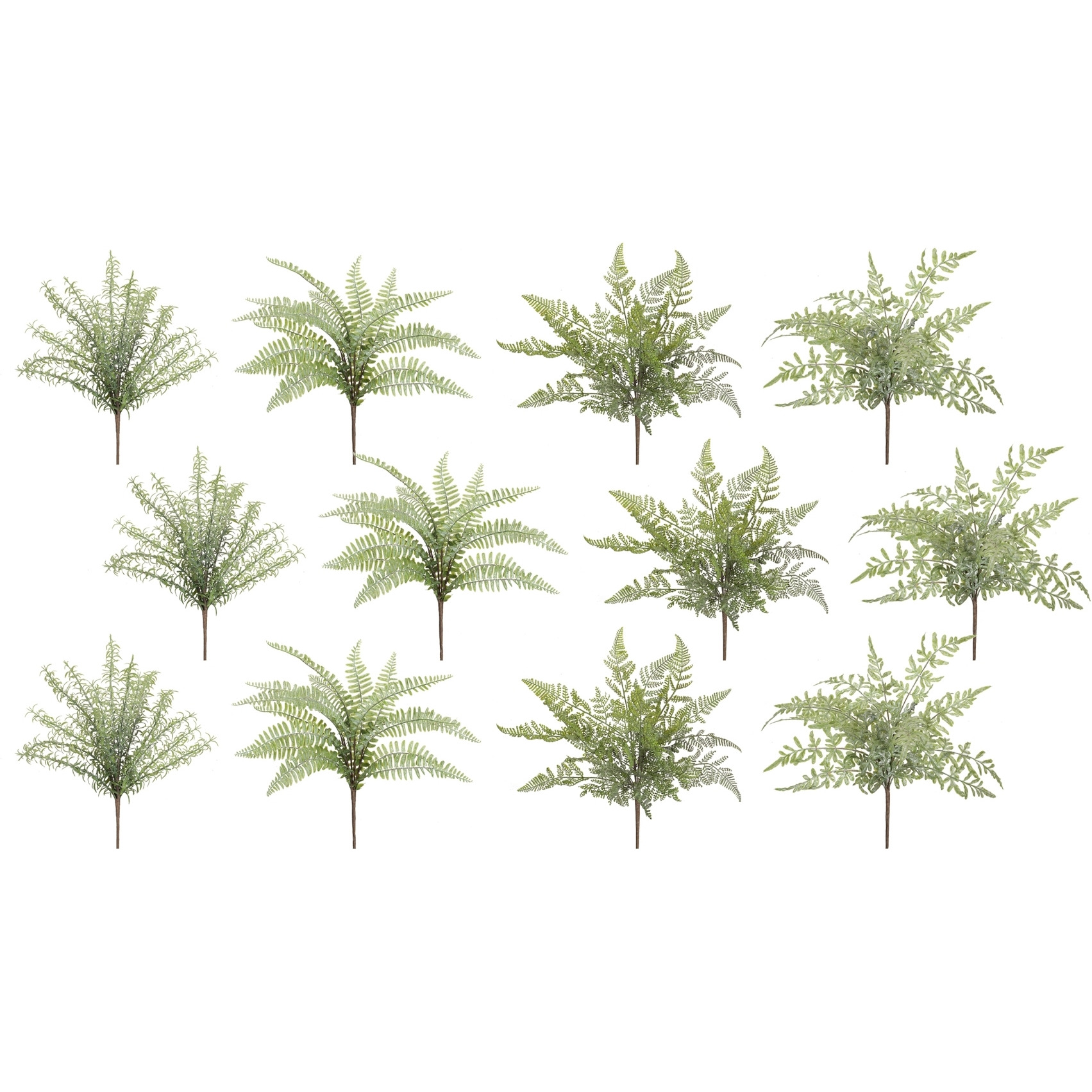 Fern Bush (Set of 12)