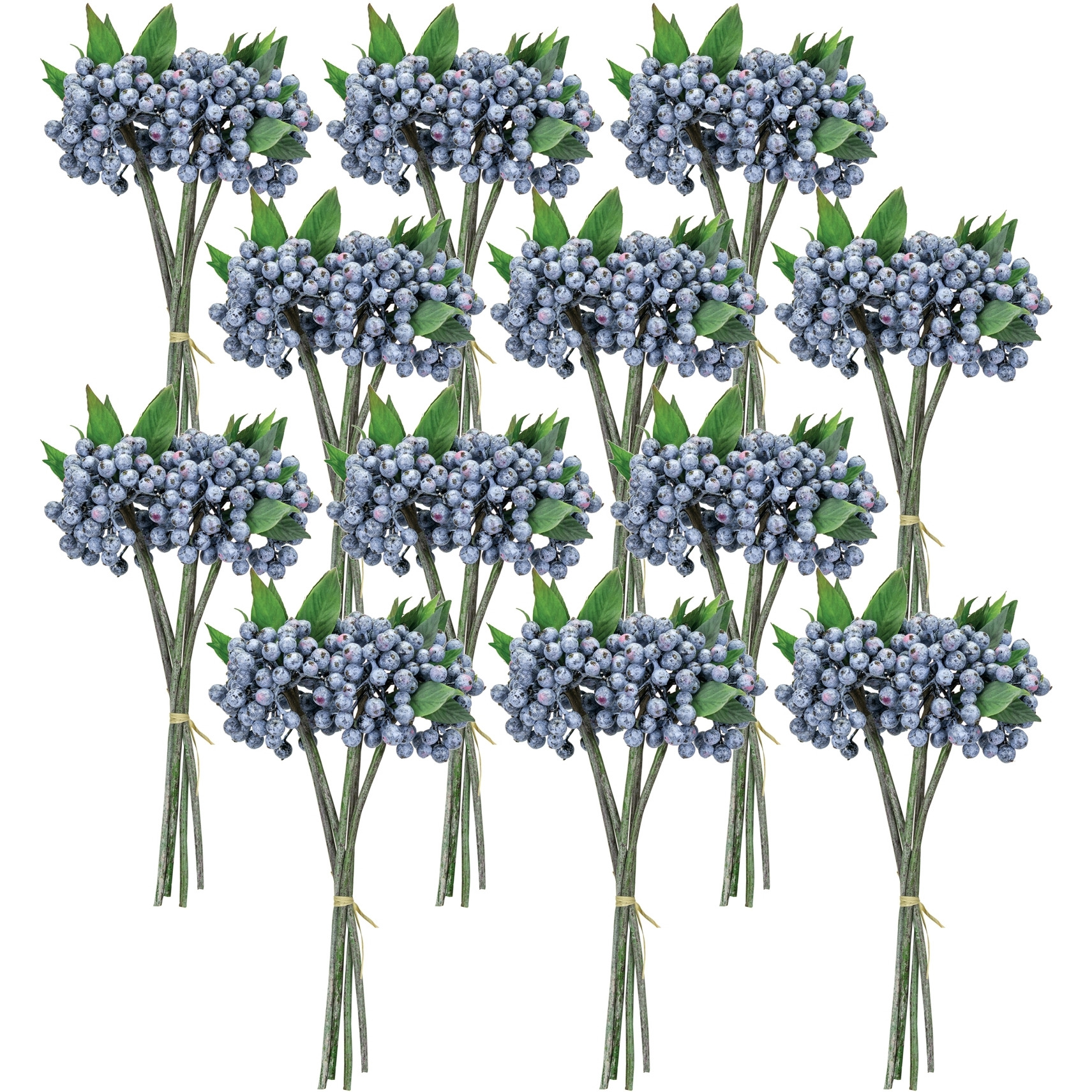 Berry Bundle (Set of 12)