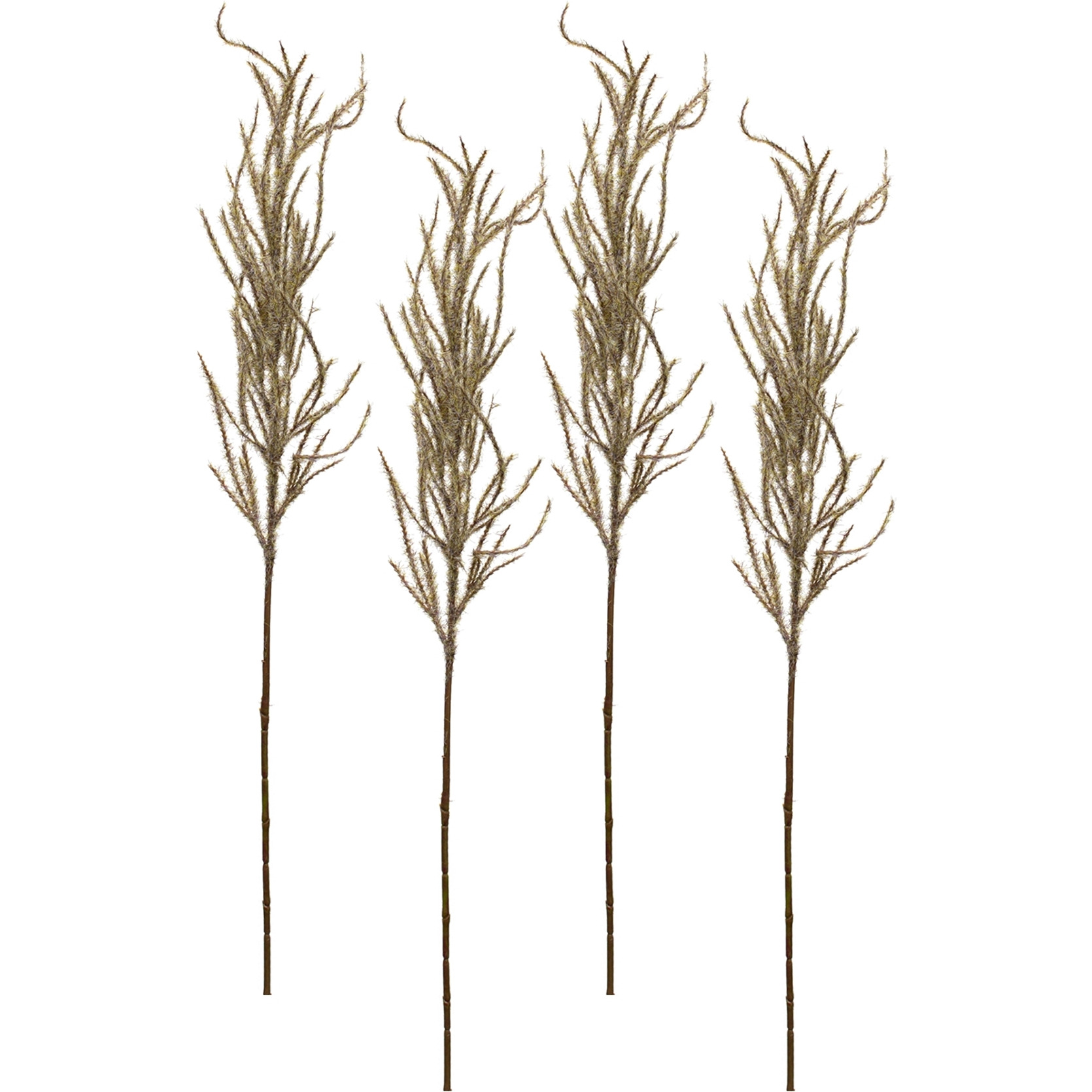 Flocked Pampas Spray (Set of 4)