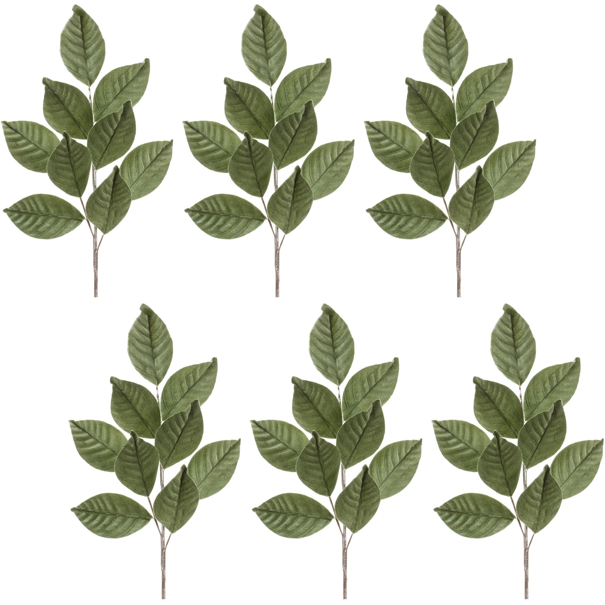 Magnolia Leaf Spray (Set of 6)