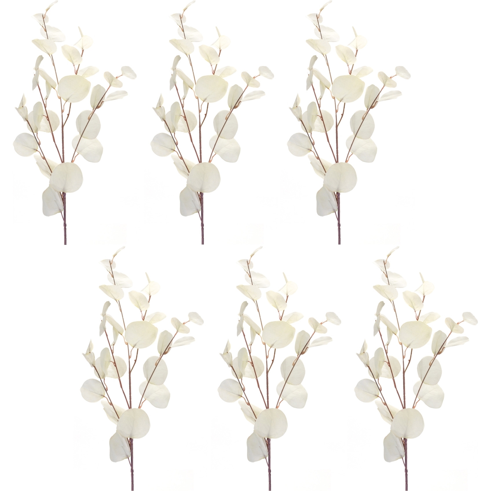 Eucalyptus Spray (Set of 6)