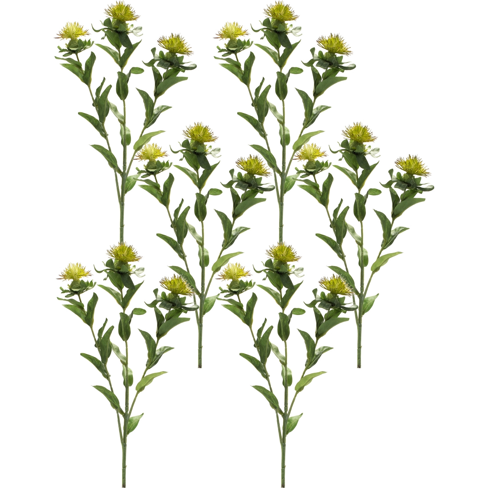 Thistle Spray (Set of 6)