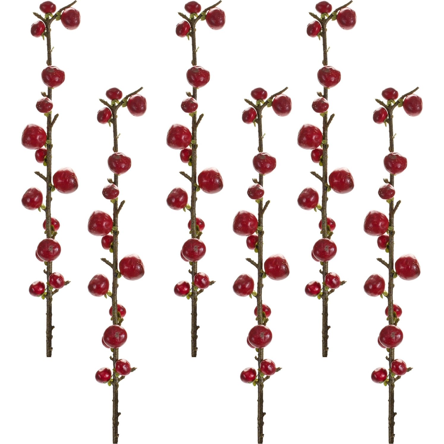 Berry Spray (Set of 6)
