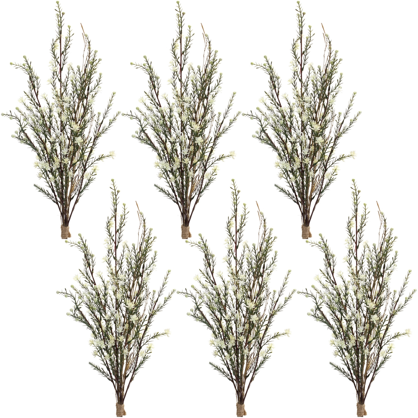 Leptospermum Bundle (Set of 6)