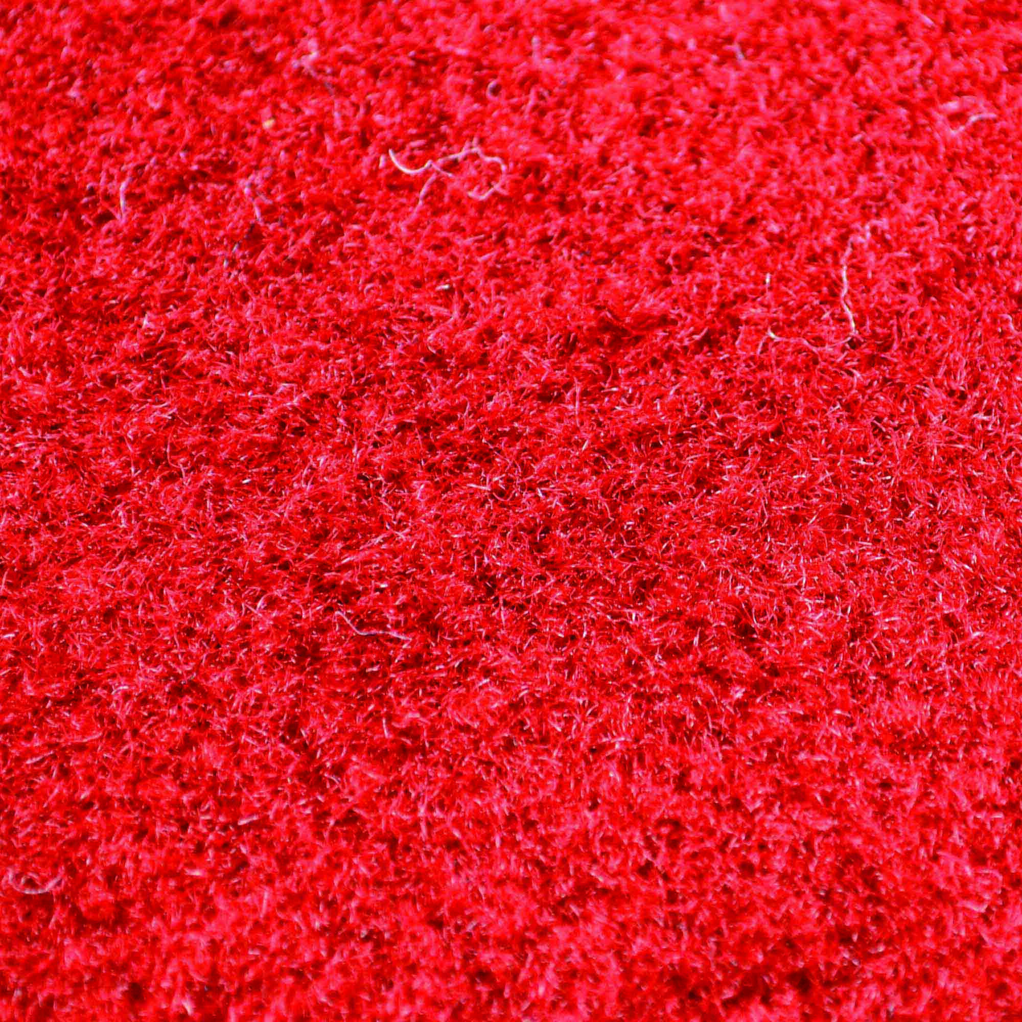 Stanford Football Rug 20.5&quotx32.5"(D0102H5EW9G.)