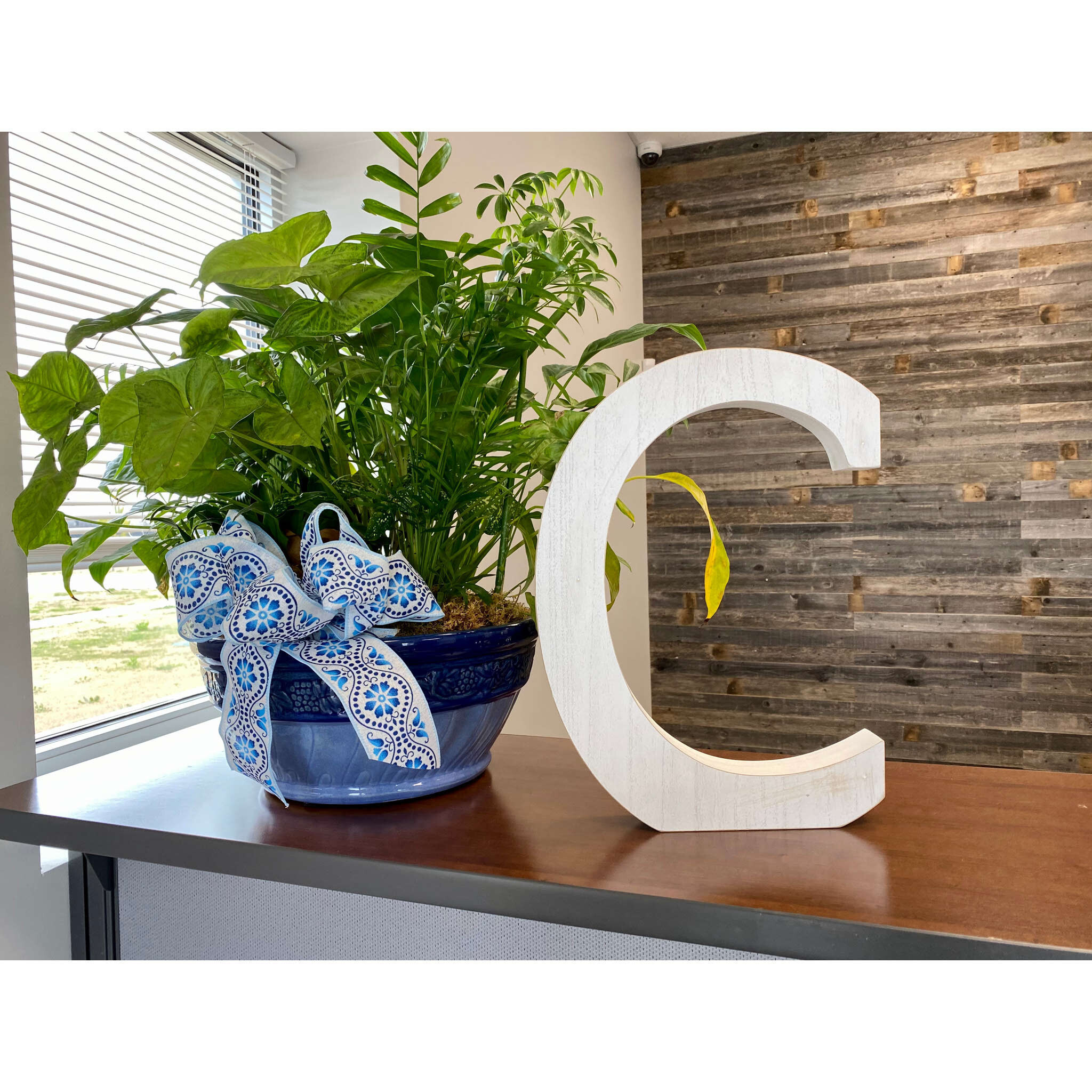 16" Distressed White Wash Wooden Initial Letter C Sculpture