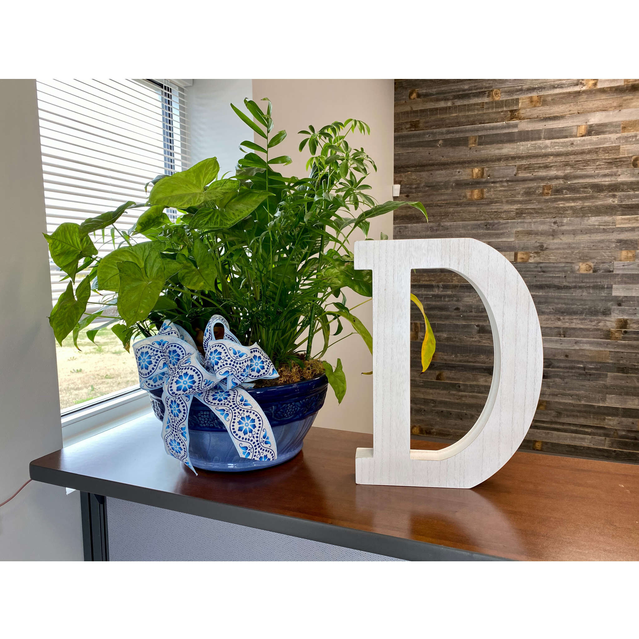 16" Distressed White Wash Wooden Initial Letter D Sculpture