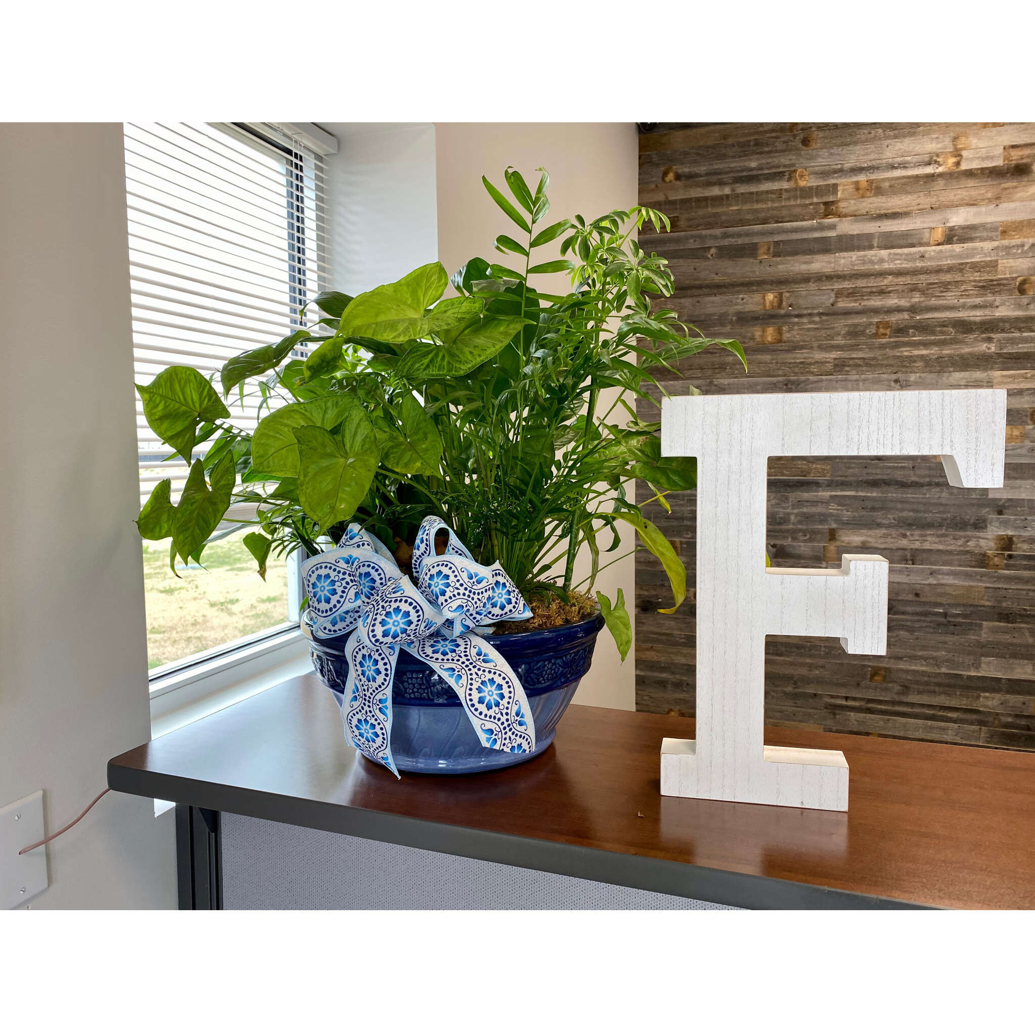 16" Distressed White Wash Wooden Initial Letter F Sculpture