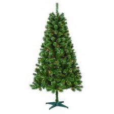 6 ft caoimhe Sentiments green Multi Tree