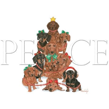 Holiday Boxed cards- Dachshunds