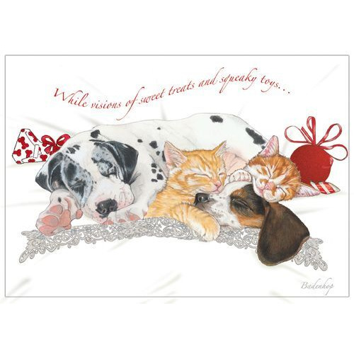 Pipsqueak Productions  Mix Dog With cat Holiday Boxed cards