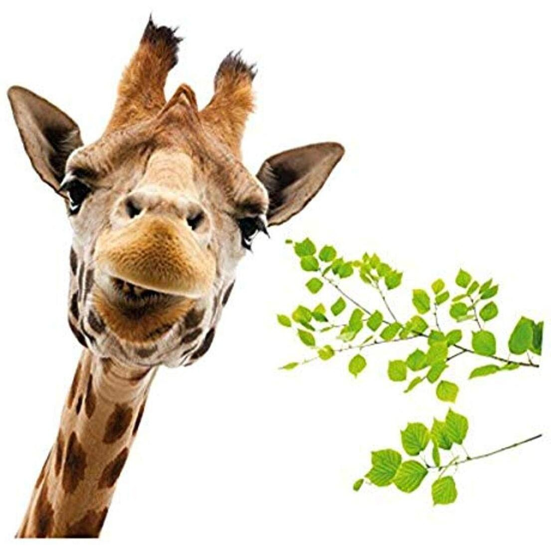 Home Decor Line cR-68202 giraffe Window Decals