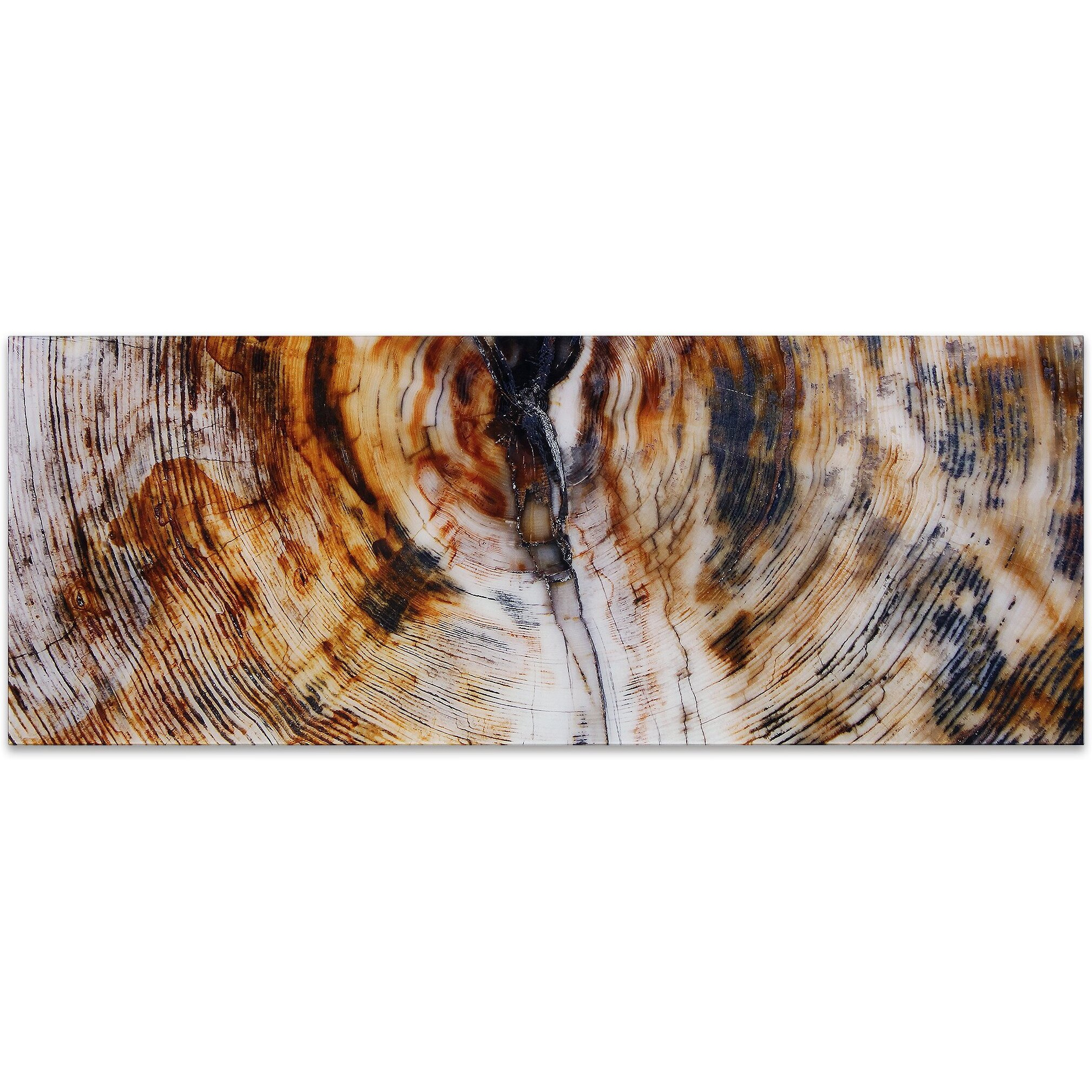 Empire Art Direct TMP-EAD1923B-6324 Frameless Free Floating Tempered glass Art by EAD Art coop - Impact B