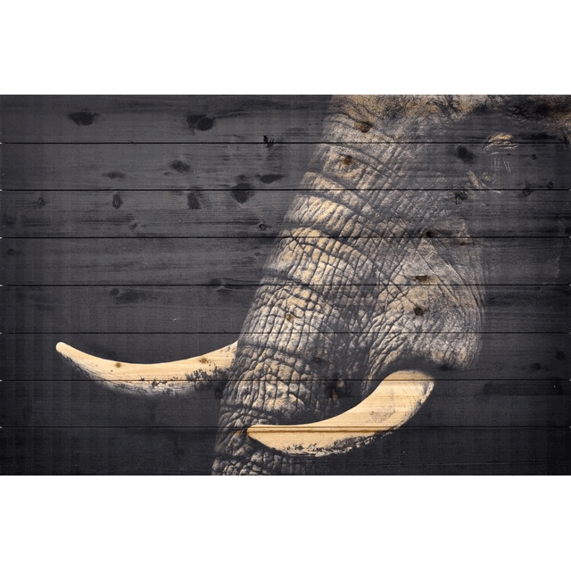 Empire Art Arte De Legno - Elephant