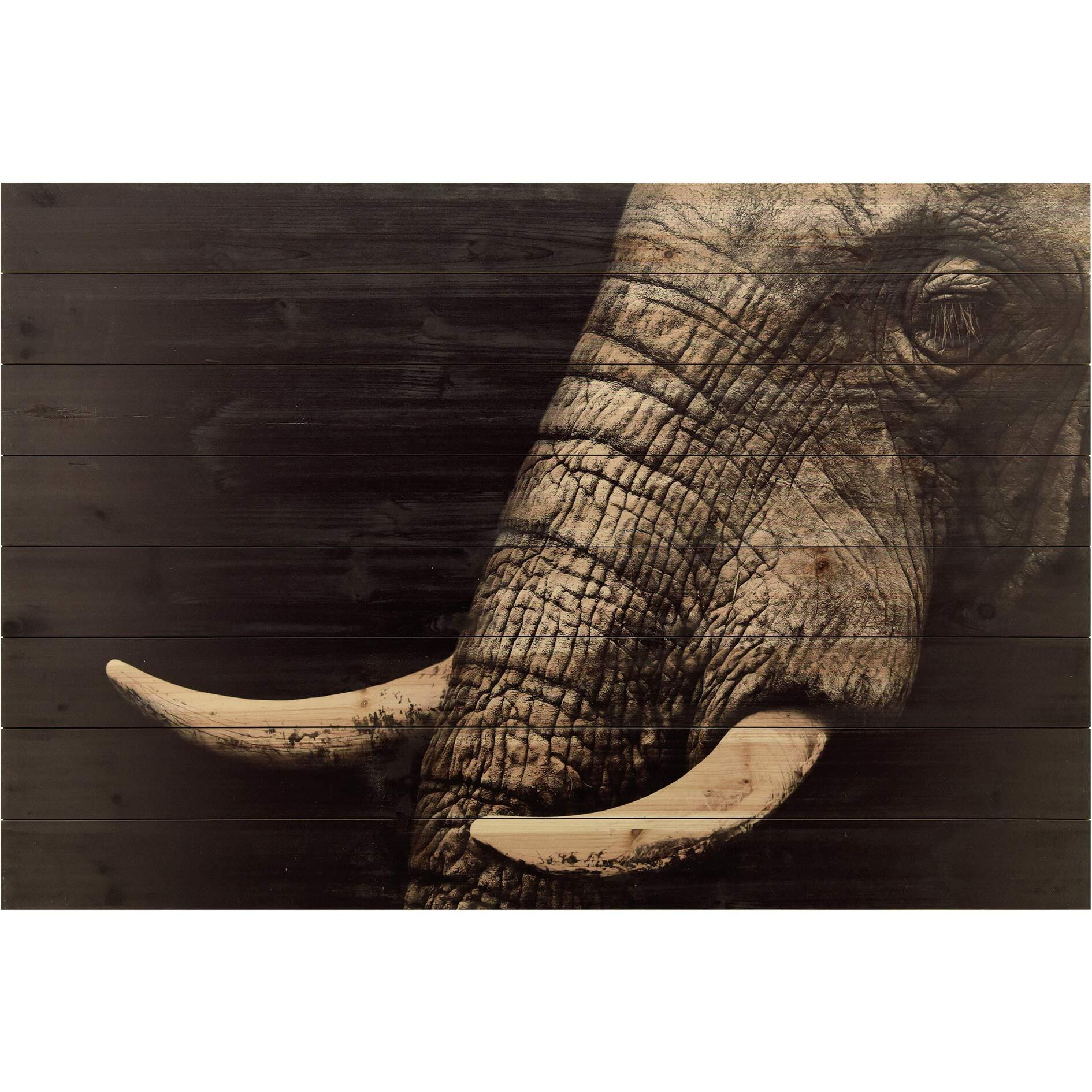 Empire Art Arte De Legno - Elephant