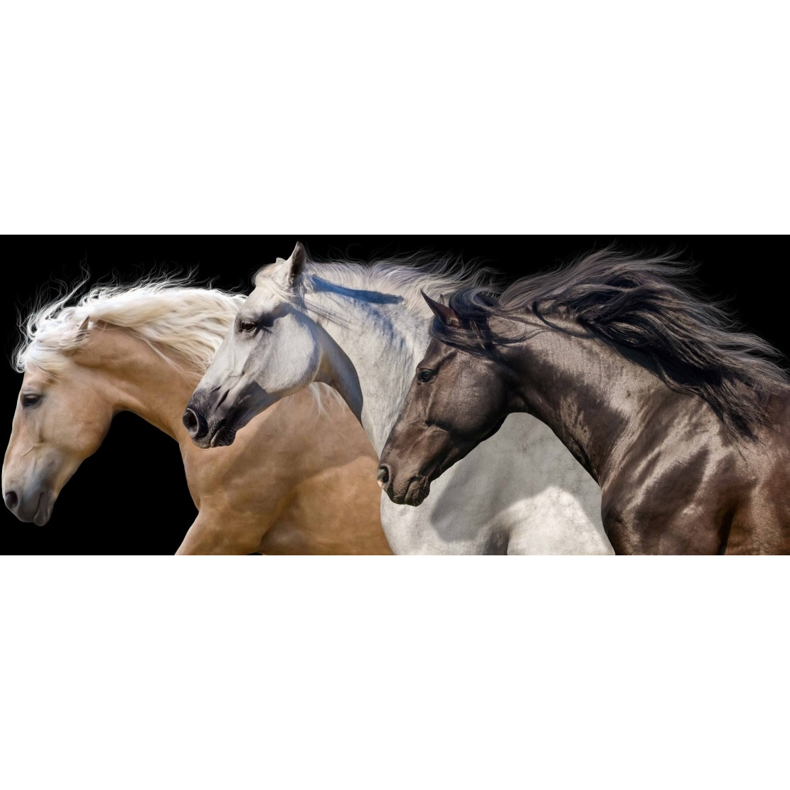 Empire Art Direct TMP-EAD4140-2463 Frameless Free Floating Tempered glass Art by EAD Art coop - Trilogy 2