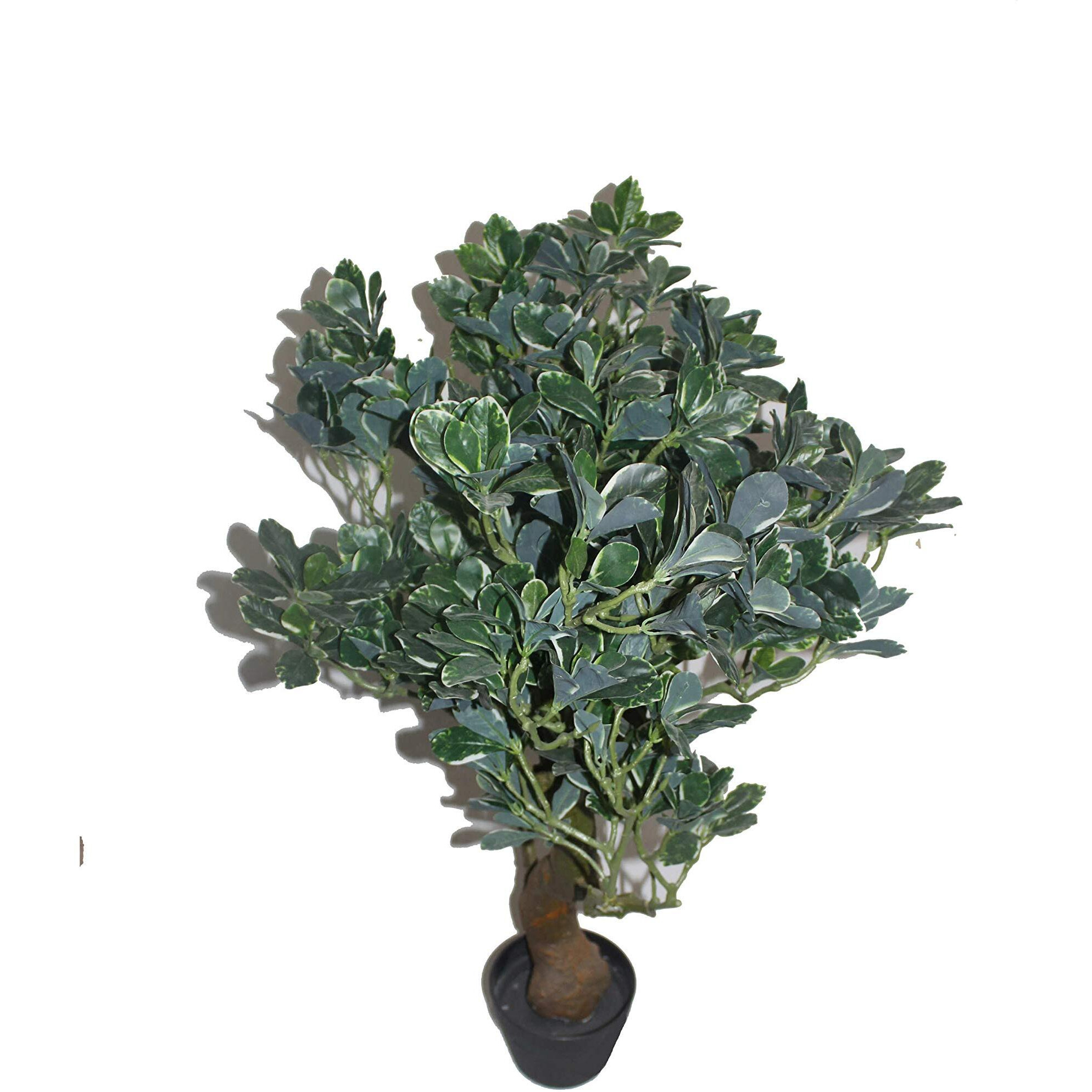 Jeco HD-BT135 36 in Fortune Tree