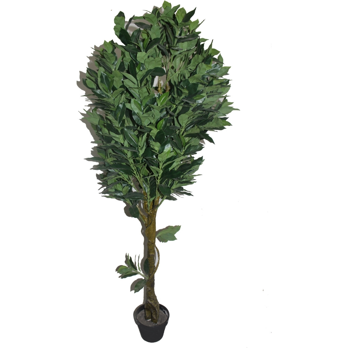 Jeco HD-BT144 65 in Fortune Tree