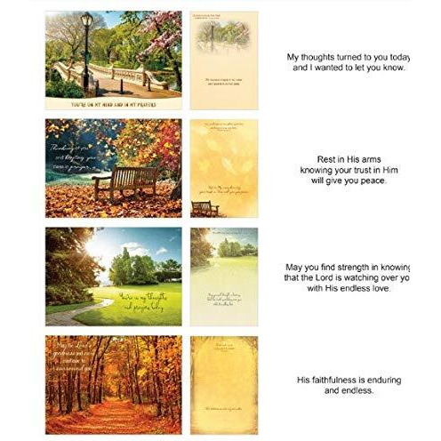 crown Point graphics 169557 Shared Blessings Thinking Of You Pathways Boxed card - 12 per Box
