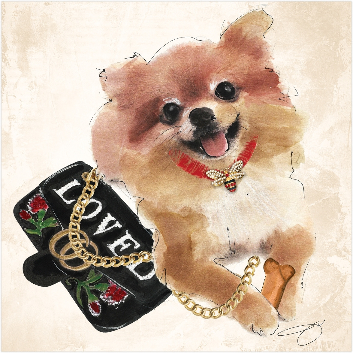 Empire Art Direct TMP-JP1056-2020 Pomeranian Unrameled Free Floating Tempered glass Panel graphic Dog Wall Art Print - 20 x 20 in