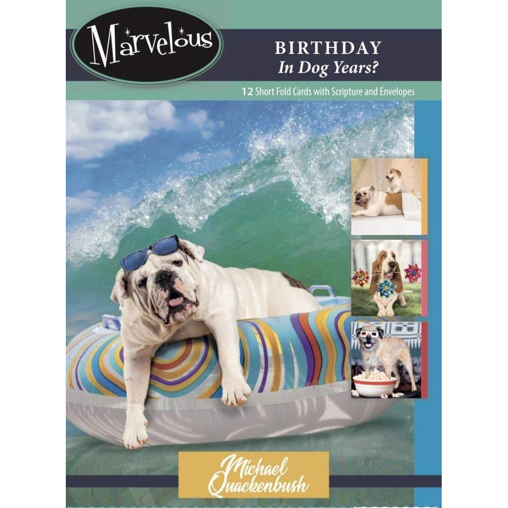 Artbeat of America 264406 card-Boxed-Birthday In Dog Years No177 - Box of 12