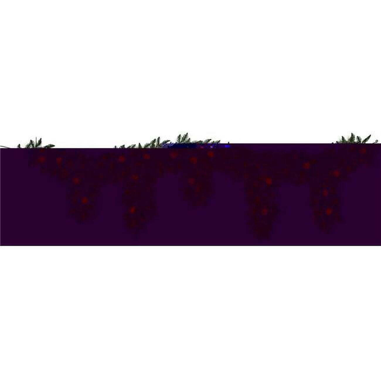 Autograph Foliages c-190604 9 ft Mixed grand Fir Dripping Swag&44 garland with Pine cones & Twinkling LED Light