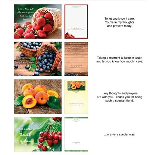 crown Point graphics 169559 Boxed - card Shared Blessings-Thinking of You Fruitful Blessings - Box of 12