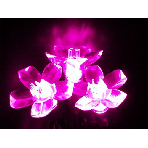 Kellogg Plastics  075 in Holiday & christmas Indoor & Outdoor LED- Pink
