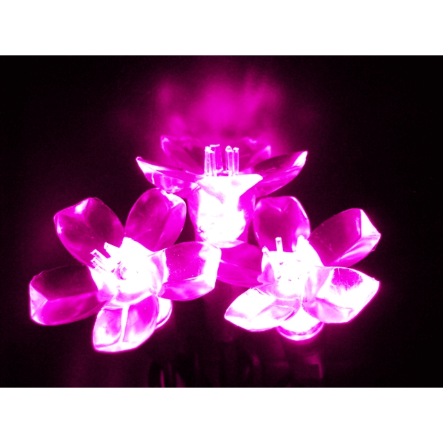 Kellogg Plastics  075 in Holiday & christmas Indoor & Outdoor LED- Pink