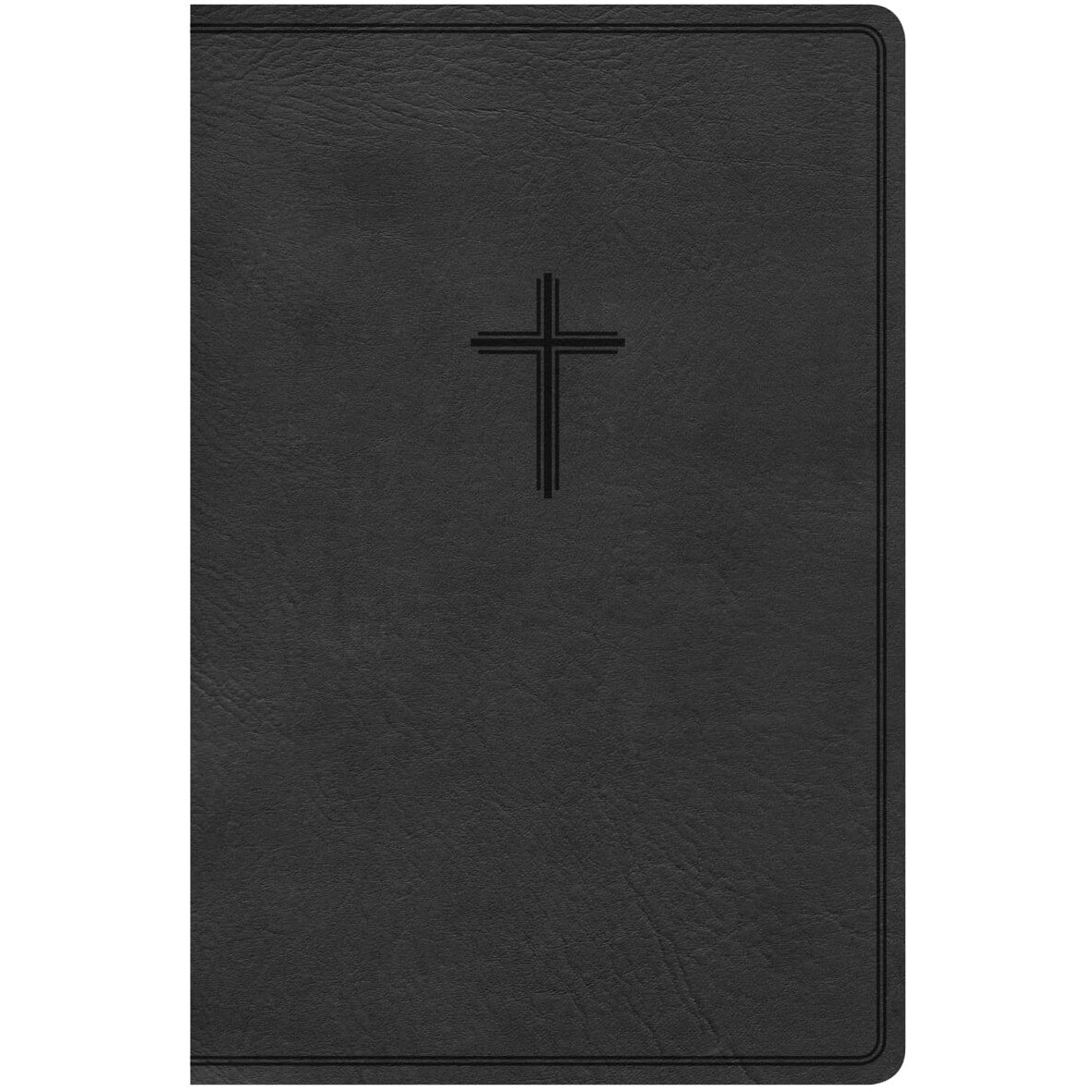 KJV Everyday Study Bible  charcoal Leather Touch