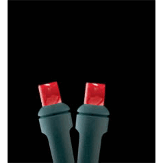 Kellogg Plastics  025 in Holiday & christmas Indoor & Outdoor M5 Base LED- Red