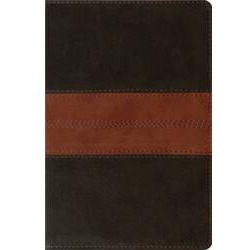 ESV Personal Reference Bible-Deep Brown & Tan Trail Design TruTone Book