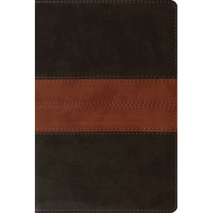 ESV Personal Reference Bible-Deep Brown & Tan Trail Design TruTone Book