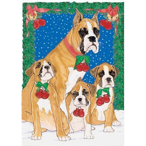 Pipsqueak Productions c821 Holiday Boxed cards- Boxer